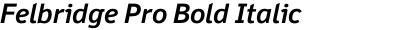 Felbridge Pro Bold Italic